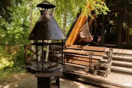 Берёзовая роща - 62