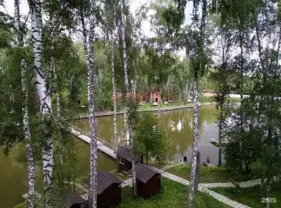 Золотая рыбка - 20