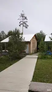 Белый берег - 11