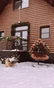 Рыжий кот - 69
