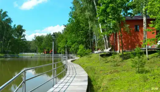 Золотая рыбка - 10
