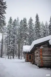Луми - 45