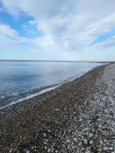 Белые росы - 18