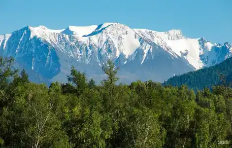 Paramono - 6