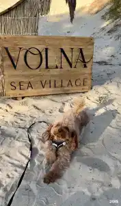 Volna Sea Village - 94