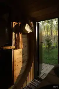 Дыши лесом - 23
