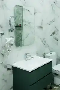 Витязь - 1