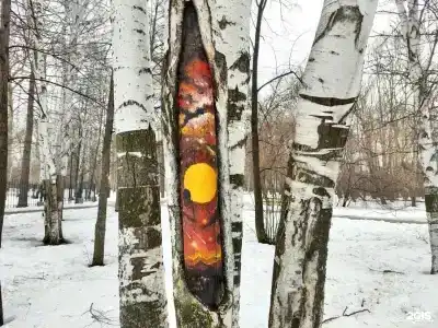 Тропикана Парк - 157
