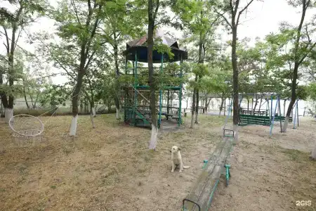 Оазис Азов - 46