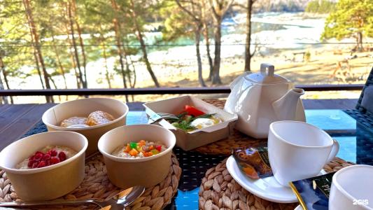 Сова - 69