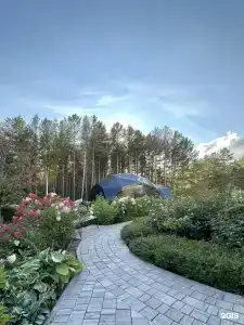 Сосновый бор Ачинск - 31