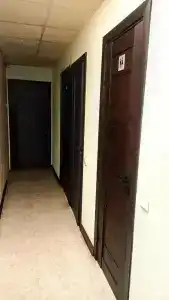 Индира - 10