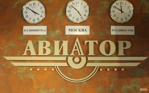 Авиатор - 15