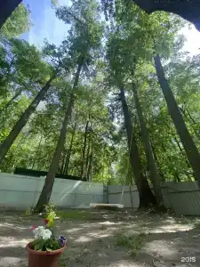 Монте-Карло - 30
