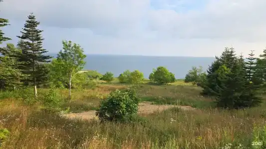 Юнона море - 28
