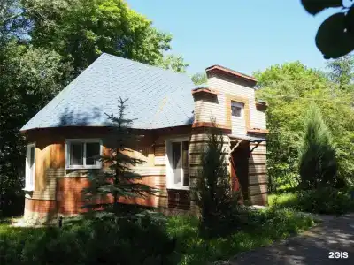 Сокол - 21