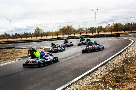 Гедуко - 40