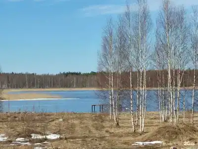 Павловская Усадьба - 18