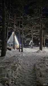 Тунгуска - 21
