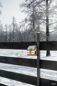Аврора - 48