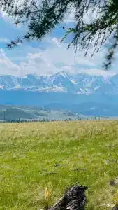 Сайкол - 13