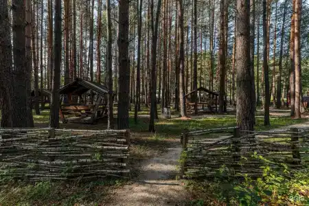 Евразия парк-отель - 42