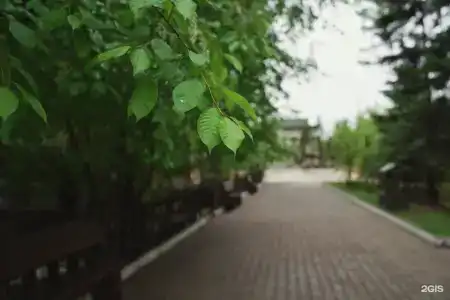 Золотой Дракон - 65