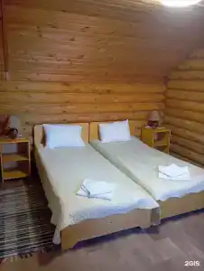 Альбатрос - 60