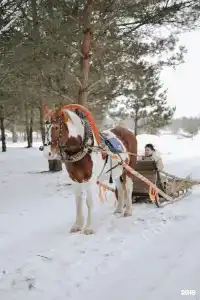 Журавка - 128