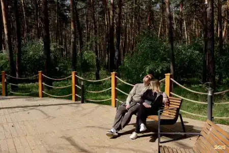Мечта - 52