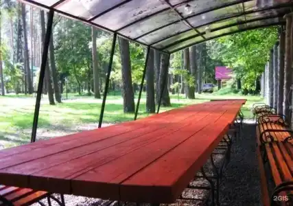 Сосновый бор - 12