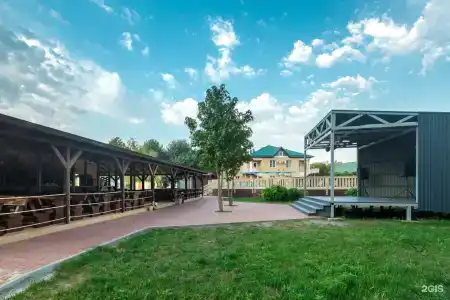 Pontos Family Resort Zarya All Inclusive - 34
