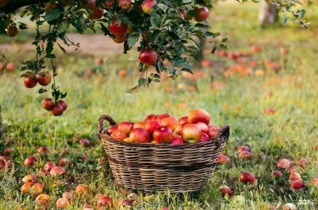 Шато Волго - 23