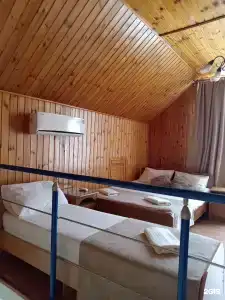 Амина - 31