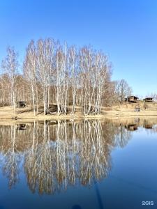 Лес & Озеро - 12