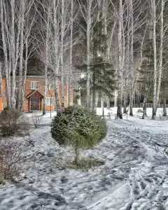 Хрустальная - 35