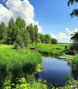 Константа - 20