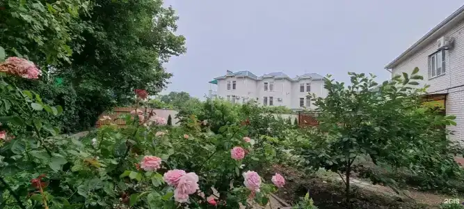 Элиз - 9