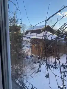 Три кота - 91