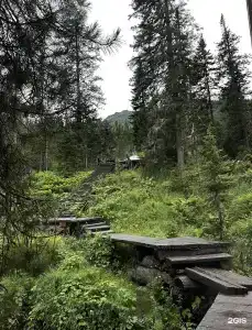 Сиберия - 60