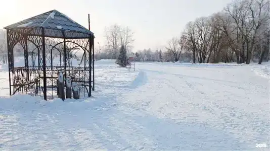 Сосновый бор - 41
