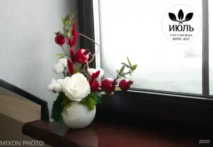 Июль Шереметьево - 17