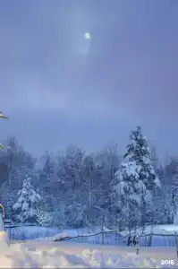 Дом Шмели - 18