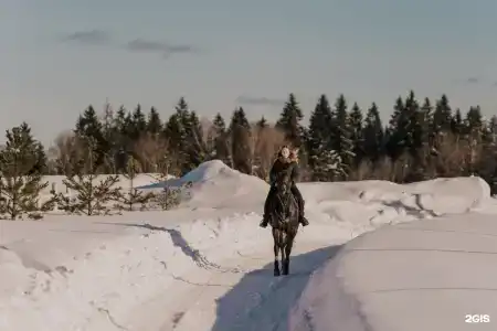 Алексеевка - 45