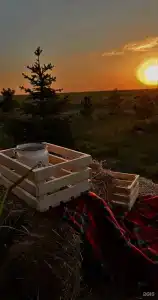 Светлая Ферма - 4