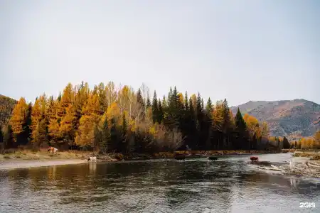 Шале Манул - 31