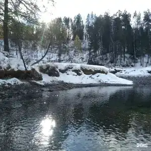 Яблоневый сад - 41