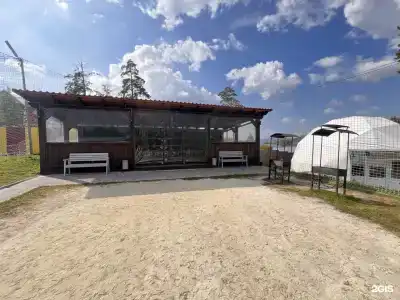 Поликарп - 53