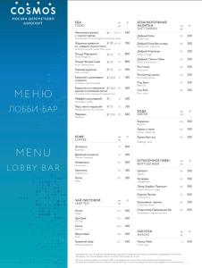 Cosmos Moscow Airport в Шереметьево - 88