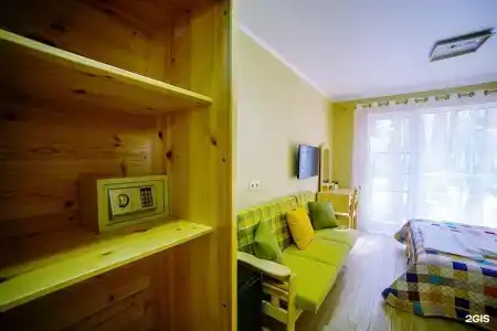 Pitsunda Cat - 1